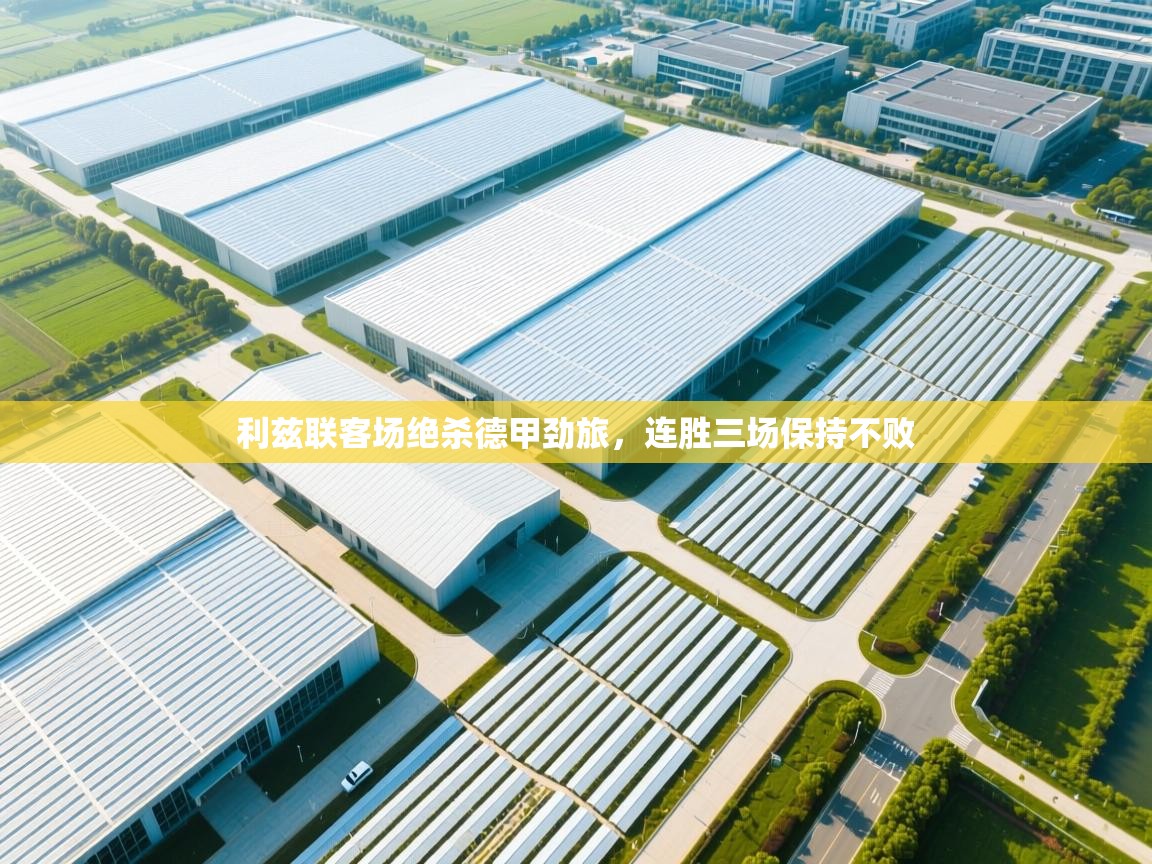 利兹联客场绝杀德甲劲旅，连胜三场保持不败  第1张