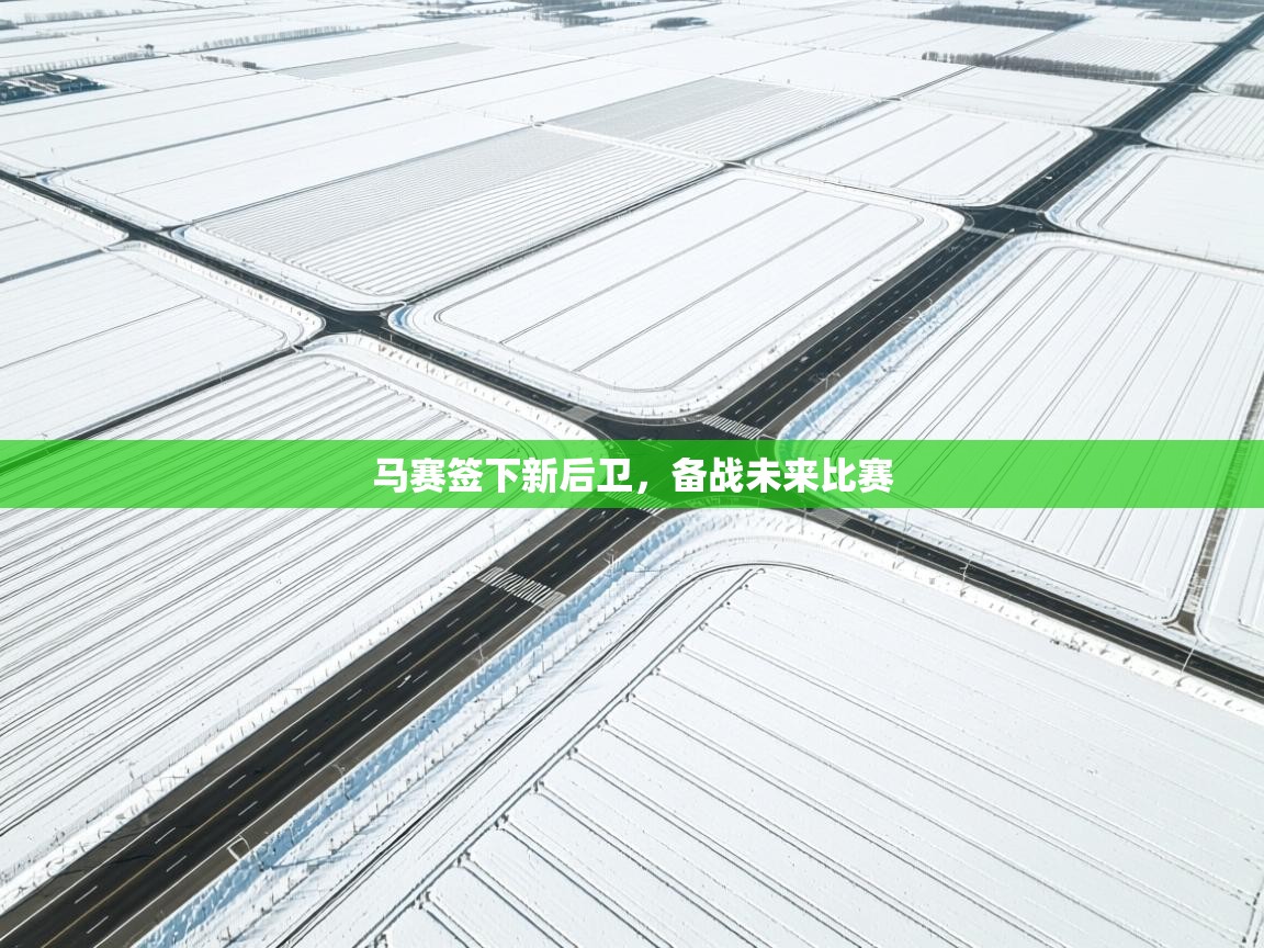 马赛签下新后卫，备战未来比赛  第1张